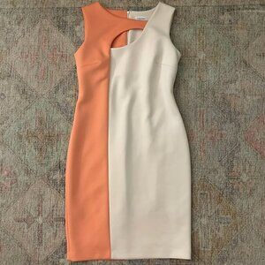 Blush pink and coral Calvin Klein sheath dress size 10